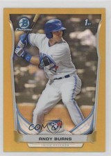 2014 Bowman Chrome Prospects Gold Refractor 1/50 Andy Burns #BCP22 x5u