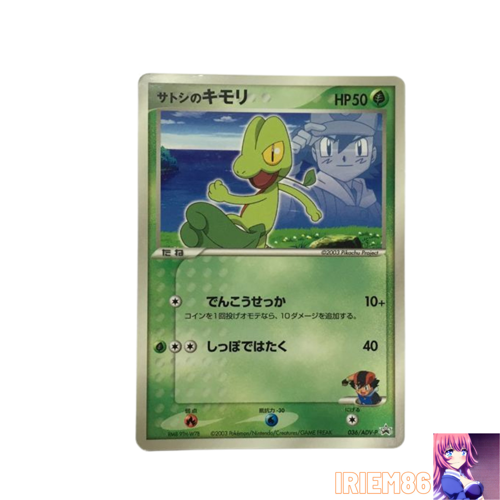 Treecko Promo 036/ADV-P Japanese MP Pokemon Single Rare Official Pokemon TCG Pok