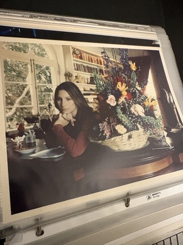 Vintage Barbra Streisand Owl and the Pussycat Movie Still Flower Portrait