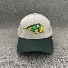 New Era Dayton Dragons 39THIRTY Fitted Grey Green Baseball Cap M/L