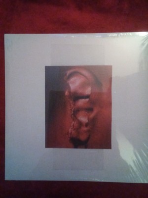 Patrick Conway (6) - Cellular Housekeeping, 2xLP, (Vinyl)