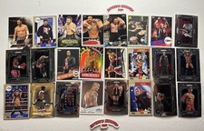 Cm Punk Randy Orton Shawn Michaels Stone Cold Edge Bret Hart WWE 24 Card Lot