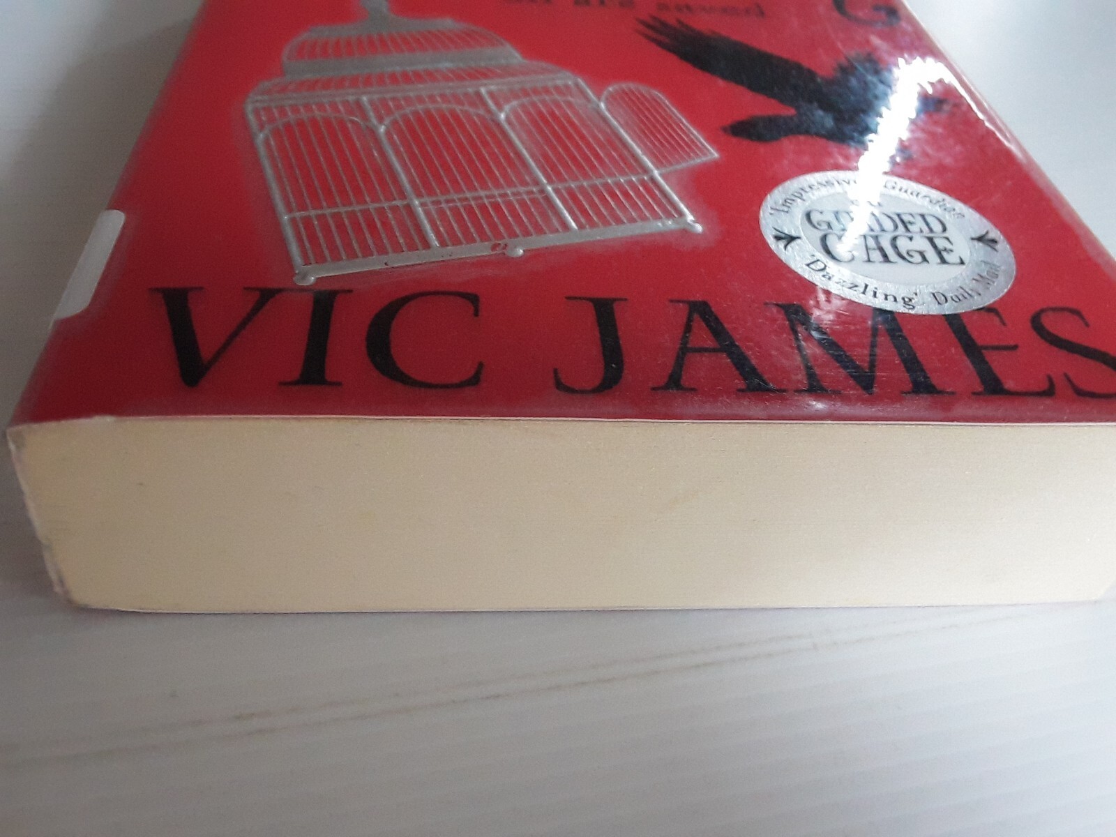 Bright Ruin  By Vic James The dark Gifts Trilogy Book 3 Paperback Magical  Book