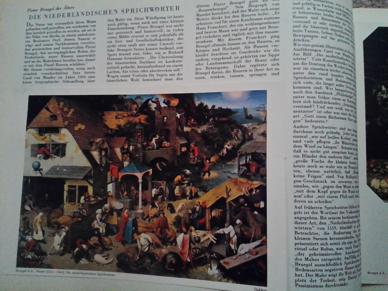 Bild 6 von 11