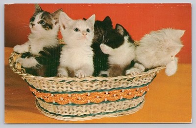 Vintage Postcard FIVE IS A CROWD Adorable Kittens in Basket Photo