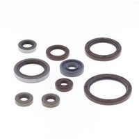 Parolio Serie Motor Beta RR 350 11-23 / 390 FüR Beta RR 390 X-PRO 4T 25-26