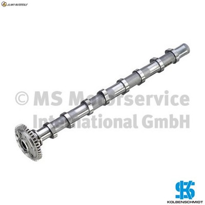NOCKENWELLE 50007932 FÜR BMW 1/X/U/F20/X2/U0/G6/G2/G8/Van/G3/X3/G0/F97/G08/F40