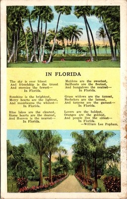 Vintage Florida Scenic Postcard by E.C. Kropp Co. with Poem