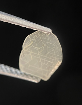 Gelber Polki Natürlicher Diamant Slice Flachgeschnittener Fancy Diamant 0,23 TCW