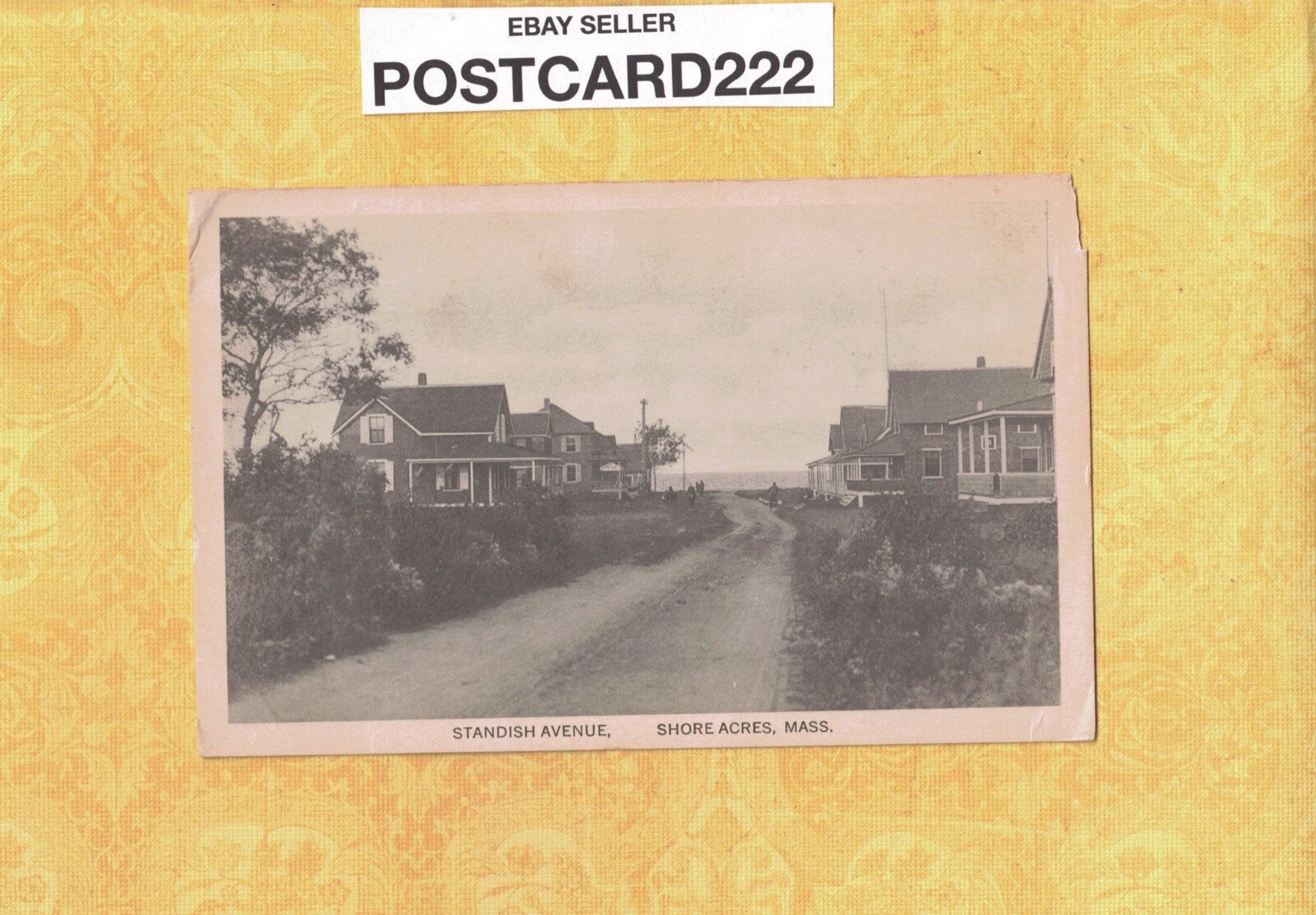 MA Shore Acres Scituate area? 190829 antique postcard HOMES STANDISH AVE MASS eBay