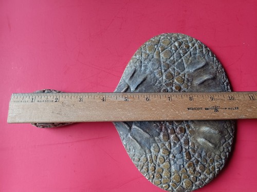 Antique Victorian Naturalistic Faux Alligator Vanity Hand Mirror  - Afbeelding 7 van 10