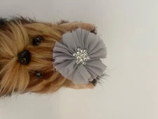 Dove gray dog flower clip with diamonds in the center 