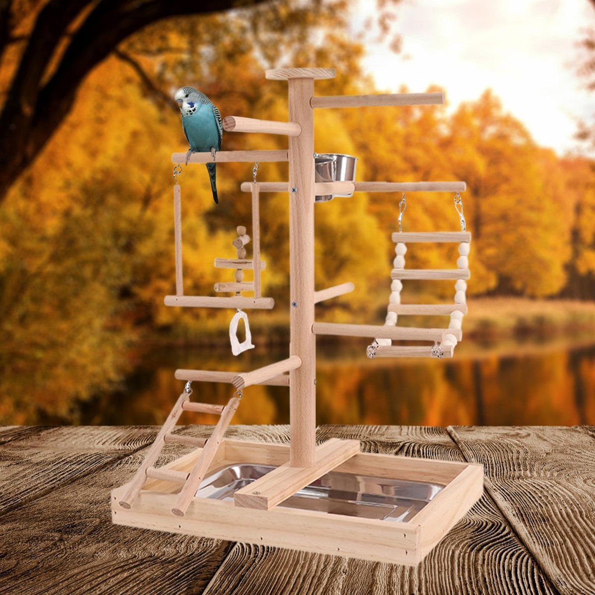 Bird Cage Accessories BeauFairy Parrot Play Stand Gym - 44x31x79cm ...