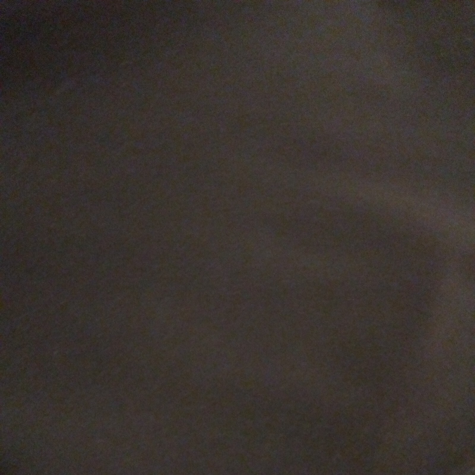 Picture 12 of 12