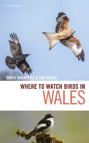 Where to Watch Birds in Wales by David Saunders, Jon Green - 9781472979513