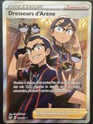 Carte Pokémon Dresseurs D’arène FA 191/195 Tempêtes Argentées EB12 NEUF FR