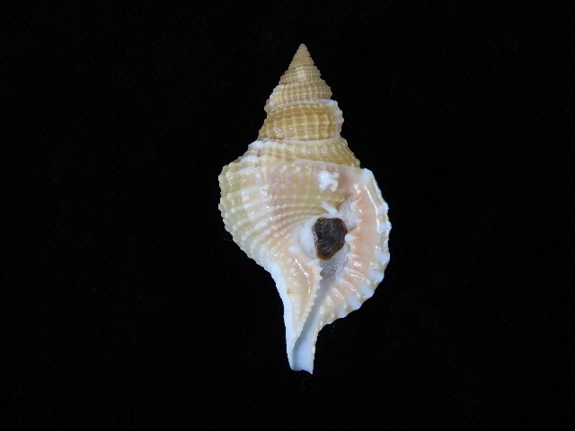 Picture 1 of 3