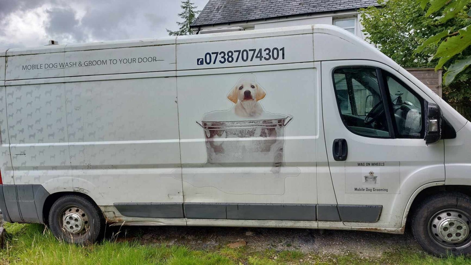 Dog grooming van eBay