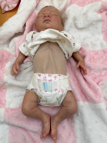 Reborn Micro Preemie Baby Girl Doll Rose Leah Rosebud Sculpt Artist Ginny Westby - Picture 14 of 19