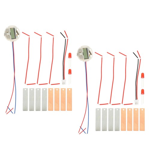 2 Sets Potato Science Experiment Fruit Battery Kit Child Kids