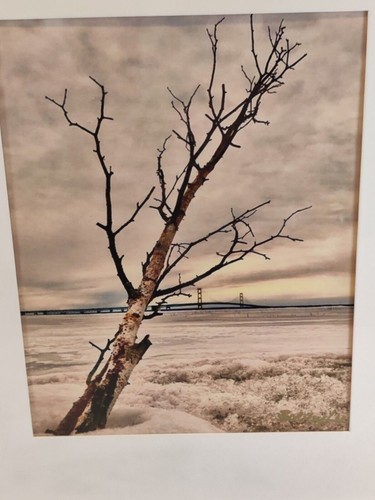 Framed Matted Winter Photo of the Mackinac Bridge 8x10-Bobby Lee-Mackinaw-MI - Picture 2 of 10