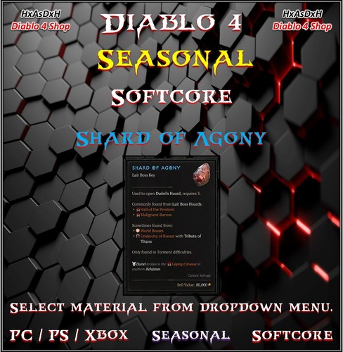 ✨Diablo 4✨Season 9✨All Diablo 4 Boost✨Power LVL & Mats & Runes & Boss Runs✨24/7✨ - Picture 59 of 145