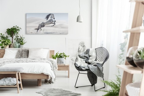 120x80cm Kunstdruck Bilder Arabisches Pferd Wild Wüste Hengst Weiß - Bild 4 von 7