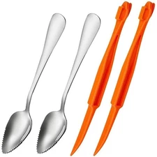Grapefruit Spoons with Serrated Edges Stainless Steel Fruit Knife Citrus Utensil