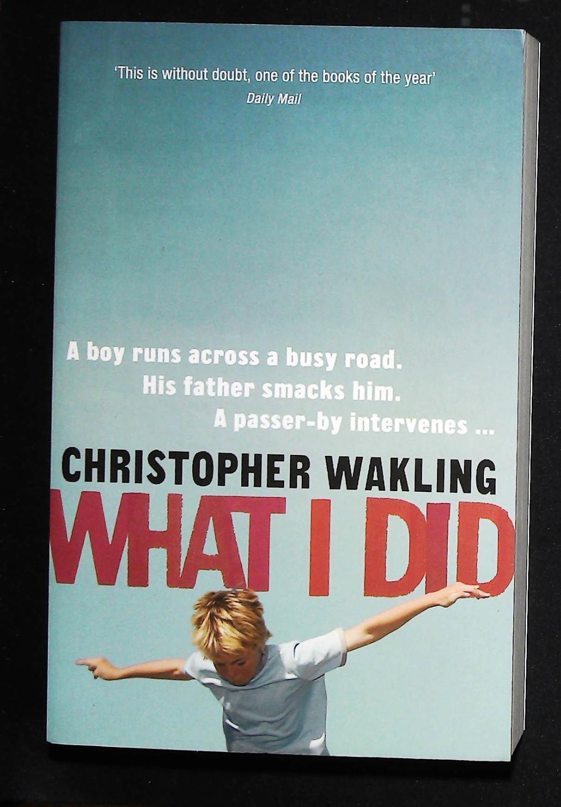 Christopher Wakling What I Did Book NEW Paperback