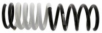 Sachs Fahrwerksfeder 992 334 FüR Ford