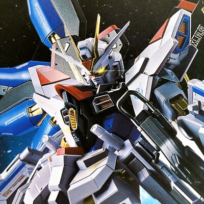 Metal Robot Spirits SIDE MS Strike Freedom Gundam Type II Figure