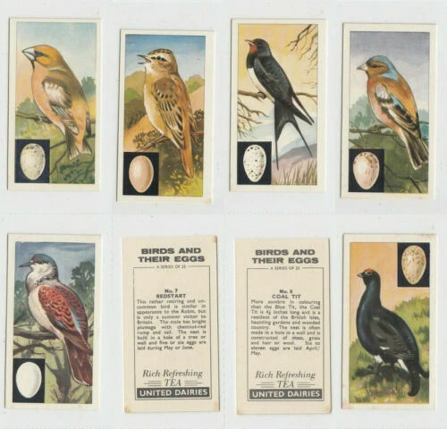 Birds UK Issue Collectable Tea Cards