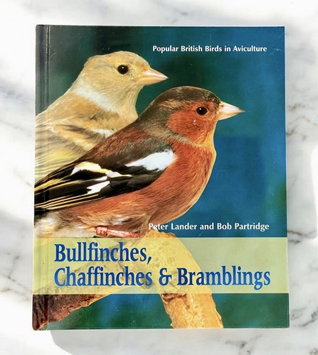 Bullfinches, Chaffinches and Bramblings. Birds, Aviculture, Finches. - Bild 2 von 11