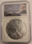 2015 NGC MS69 American Silver Eagle (First Releases)