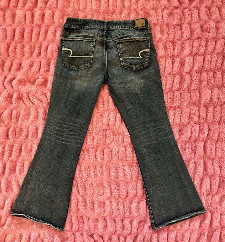 american eagle jeans women size 14 Artist 