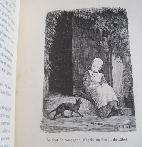 LES CHATS 1870 Champfleury Illustrated CAT BOOK Includes MANET Engraving & More - Picture 8 of 17