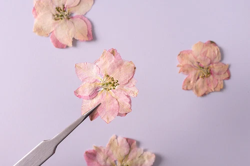 Dried Pressed Flowers Natural Epoxy Resin Candle Nail Art Scrapbooking Craft AU - Picture 100 of 210