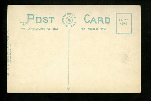 Tree postcard Pepper Drive, Los Angeles California CA Vintage - Picture 2 of 2