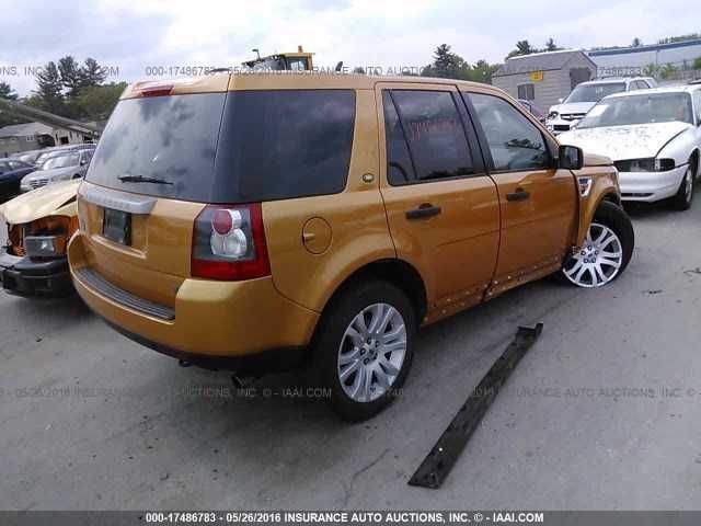 Picture 4