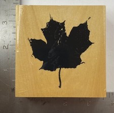 Anita  s Rubber Stamp Large Maple Leaf