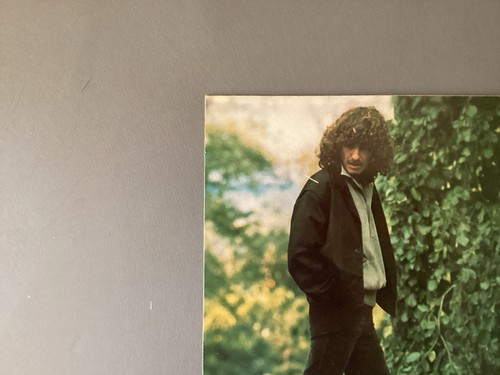 George Harrison Self Titled LP - 1979 Dark Horse K 3255 - EX - Picture 7 of 17
