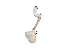 Behälter Scheibenwaschanlage Wischwasserbehälter für PEUGEOT  208 I 968398868000