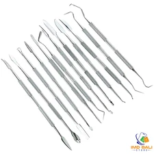 Stainless Steel Clay & Wax Sculpting Tool Set Dental Pottery Carving 12 Pieces