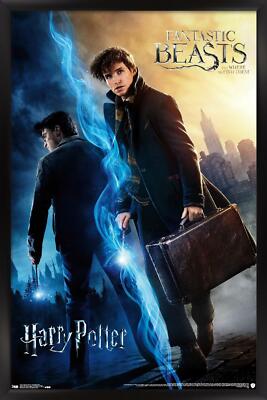 The Wizarding World: Harry Potter and Fantastic Beasts 14x22