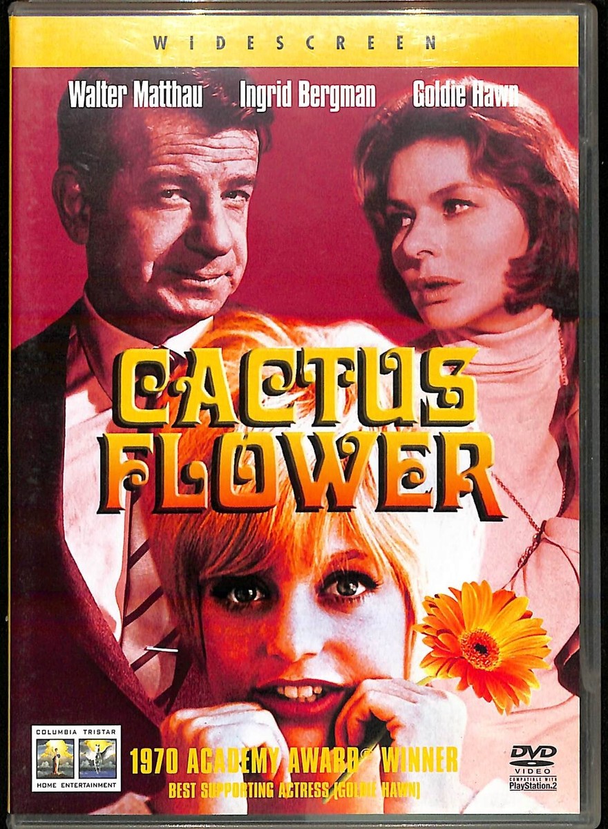 Cactus Flower DVD 1969 Romcom Movie Classic with Walter Matthau + Goldie  Hawn | eBay