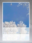 Privacy Film Glass Decorative Film Window Film Strip 80cmWx50cmH G03 Window