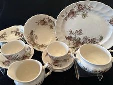 Johnson Bros Harvest Time 17 Pieces England Ironstone