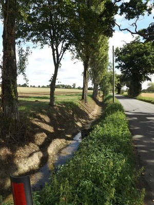 Photo A3 Newly dug ditch off the C555 Finningham Road Cranmer Green  c2016