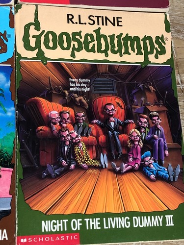 RL Stine Goosebumps Lot 11 90's #1, 8, 19, 20, 30, 33, 38, 40, 41, 58, 59 - Picture 10 of 13