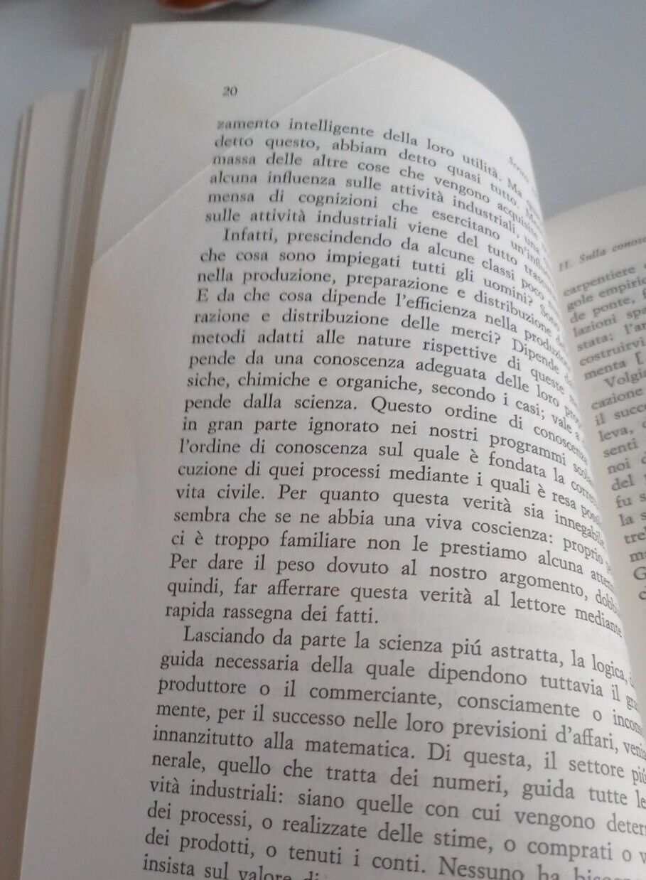 Foto 6 di 8